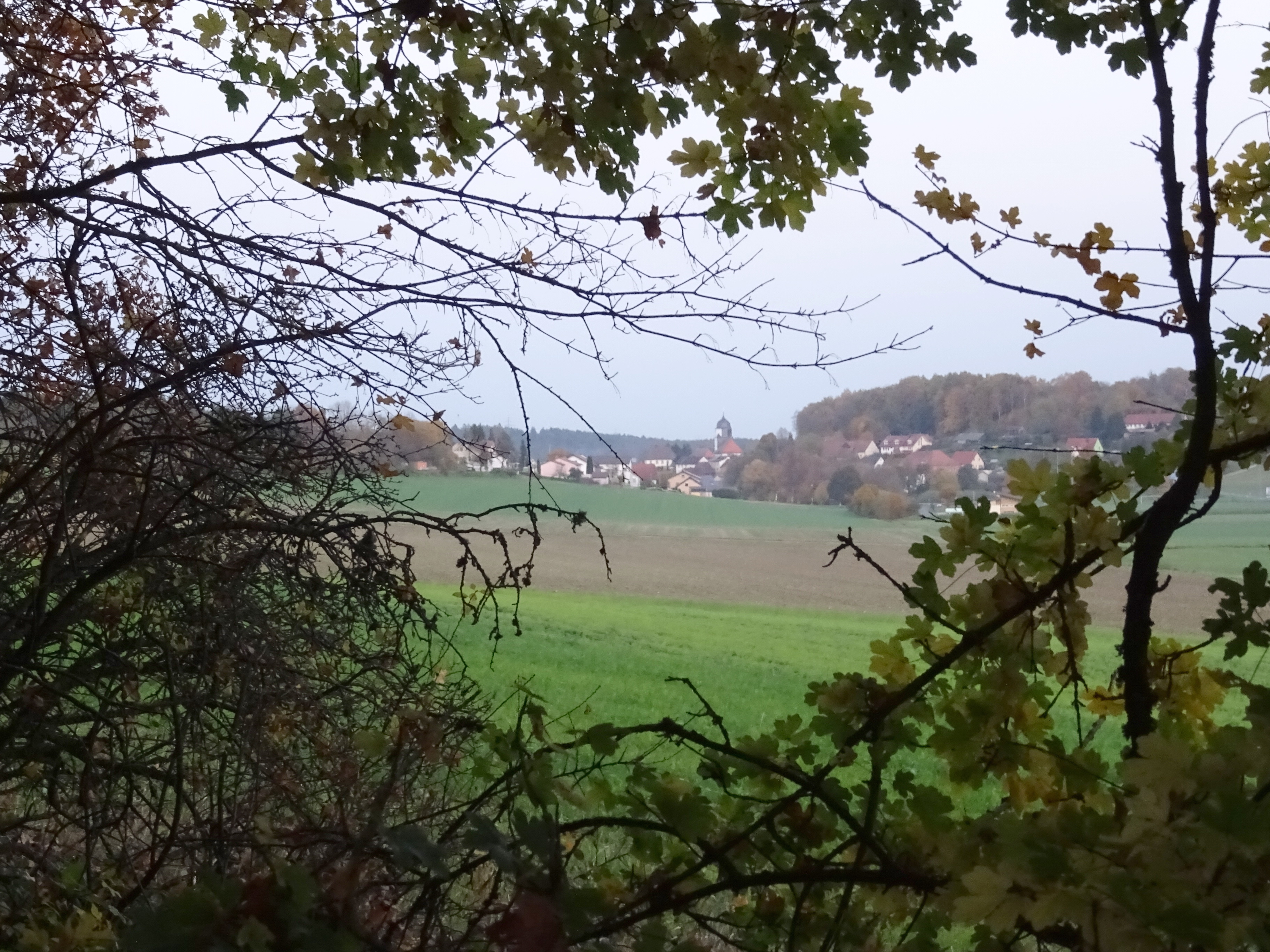 Blick auf Königsfeld